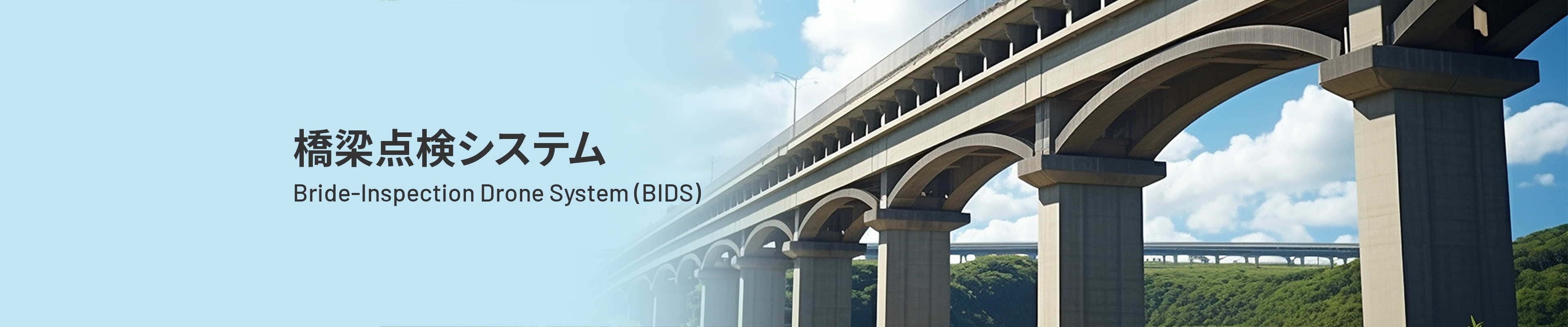 橋梁点検システム Bridge-Inspection Drone System (BIDS)
